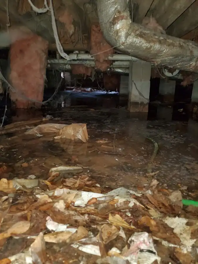 Crawl space flood assessment for Leak Detection & Repair in Brookshire